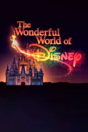 The Wonderful World of Disney poszter