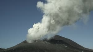 Survivre aux catastrophes, les stratégies de la nature háttérkép