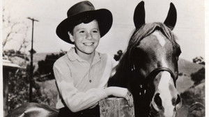 My Friend Flicka kép