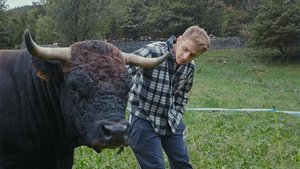 Dans la vallée háttérkép