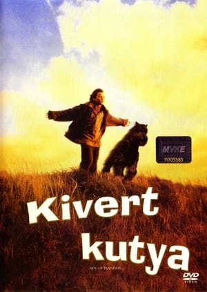 Kivert kutya