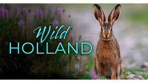Holland: Natuur in de Delta kép