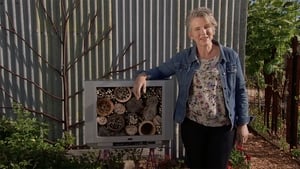 Gardening Australia Season 28 Ep.20 20. epizód