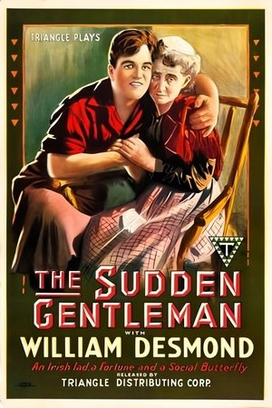 The Sudden Gentleman poszter