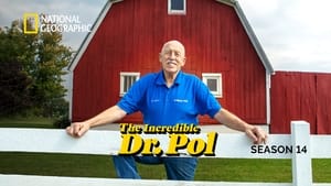 Dr. Pol állatklinikája kép