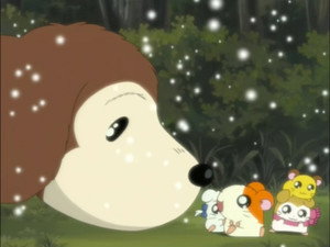 とっとこハム太郎 Season 1 Ep.89 89. epizód