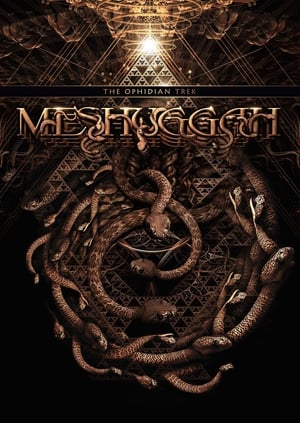 Meshuggah: Konstrukting the Koloss poszter