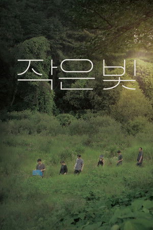 작은 빛