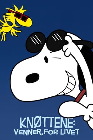 A Snoopy-show poszter