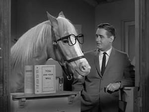 Mister Ed 2. évad Ep.14 14. epizód