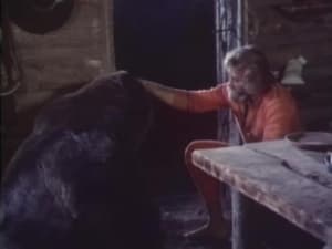 Grizzly Adams Season 1 Ep.4 4. epizód