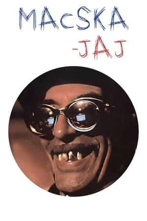 Macska-jaj