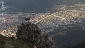 Wildes Innsbruck: Zwischen Moderne und alpiner Wildnis háttérkép