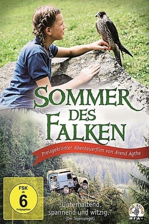 Der Sommer des Falken poszter