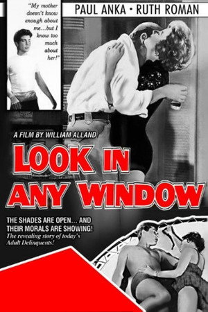 Look in Any Window poszter