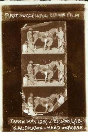 Horse Shoeing poszter