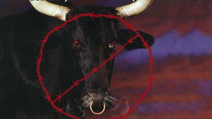WCW Spring Stampede 1998 háttérkép