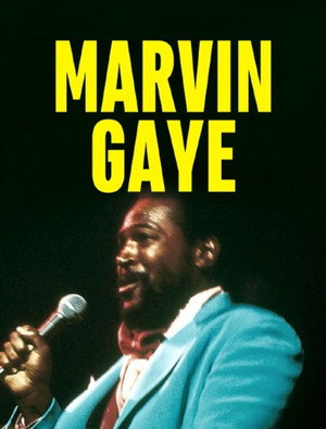 Marvin Gaye: Greatest Hits Live '76 poszter