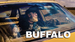 Buffalo háttérkép
