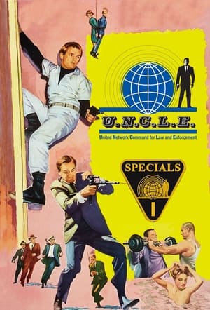 The Man from U.N.C.L.E.