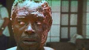 Africa Addio háttérkép