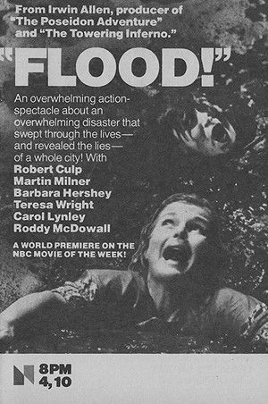 Flood! poszter