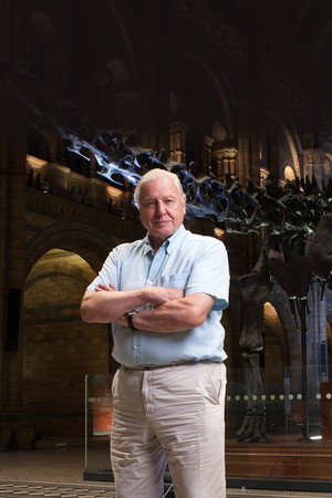 David Attenborough's Natural History Museum Alive poszter