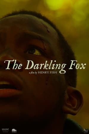 The Darkling Fox poszter