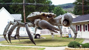 Queen Crab háttérkép
