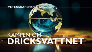 Vetenskapens värld 49. évad Ep.38 38. epizód