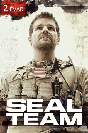 SEAL Team