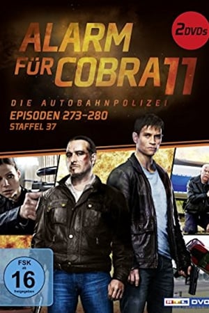 Cobra 11