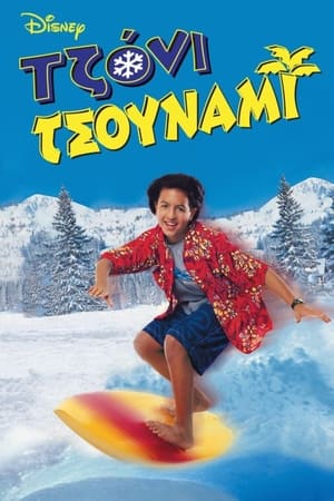 Johnny Tsunami poszter