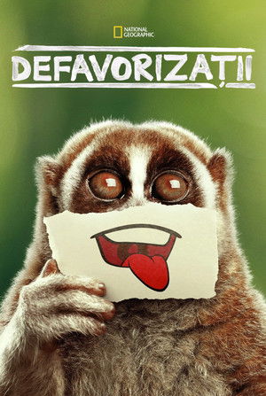 Bizarr természet poszter