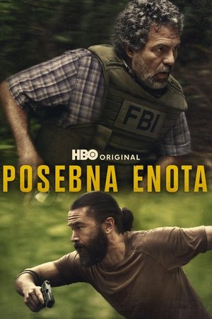 A megbízás poszter