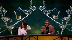 QI 14. évad Ep.1 1. epizód