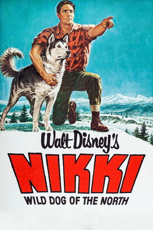 Nikki, észak vad kutyája poszter