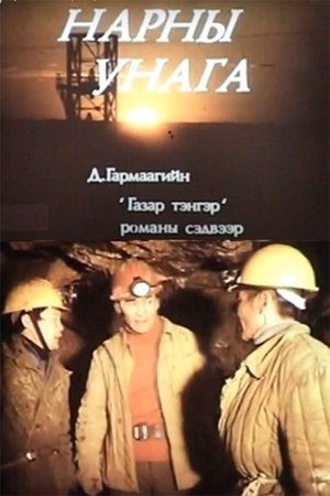 Нарны унага poszter