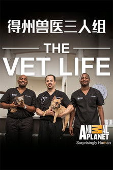 The Vet Life poszter