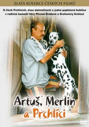 Artus, Merlin és a Prchlik család poszter