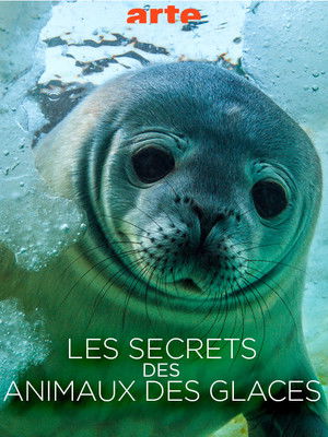 Les Secrets des Animaux des Glaces poszter