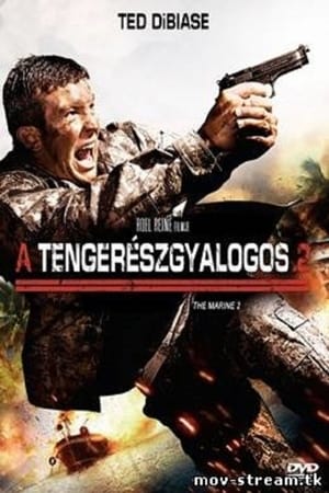 A tengerészgyalogos 2