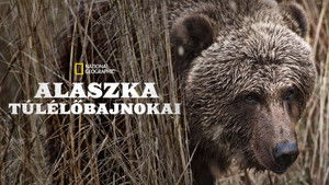 Alaszka túlélőbajnokai kép