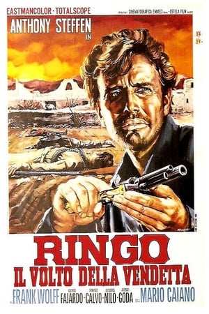 Ringo, il volto della vendetta