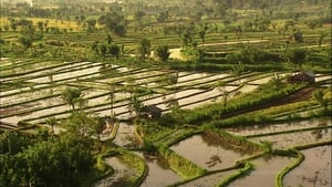 Living Landscapes: Bali háttérkép