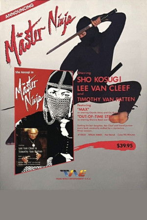 Master Ninja poszter