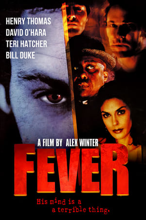 Fever poszter