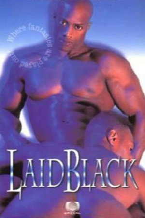 Laid Black poszter