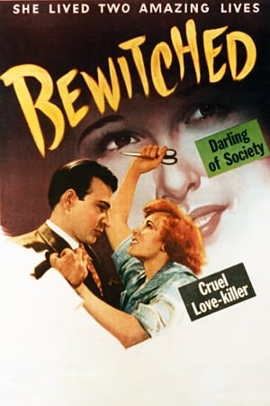 Bewitched poszter