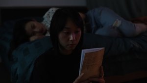 A New Novel háttérkép